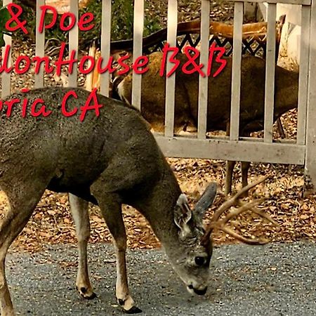 Dreydon House Bed And Breakfast Cambria Luaran gambar
