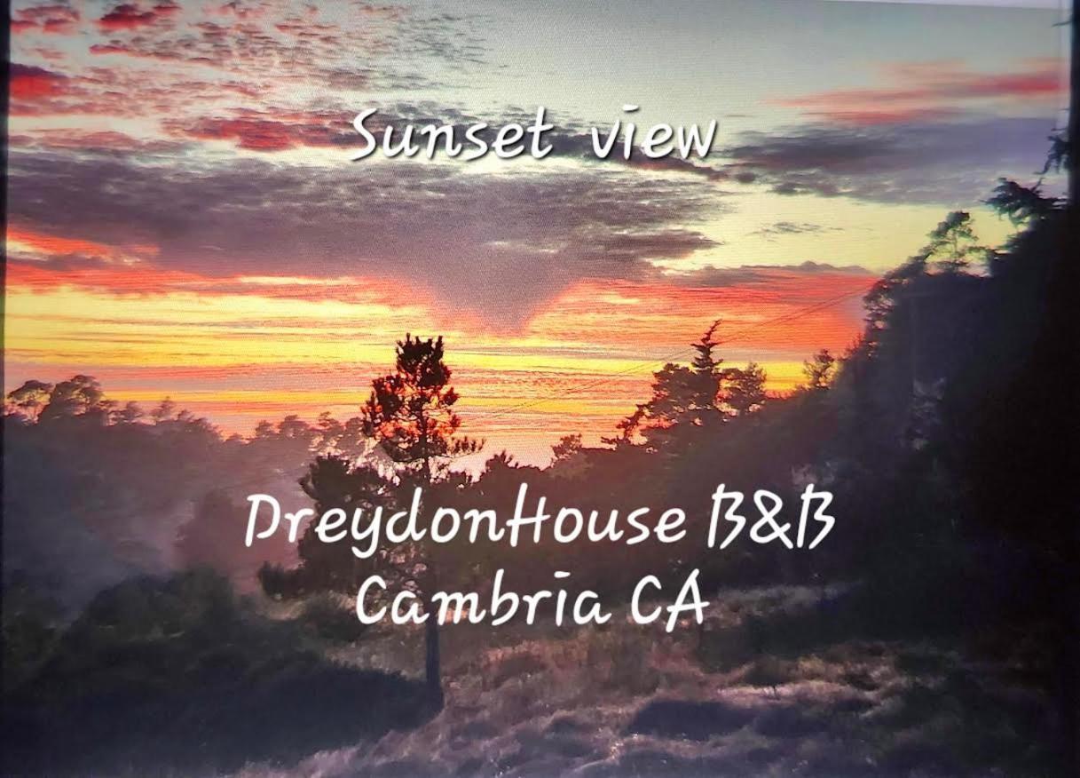Dreydon House Bed And Breakfast Cambria Luaran gambar