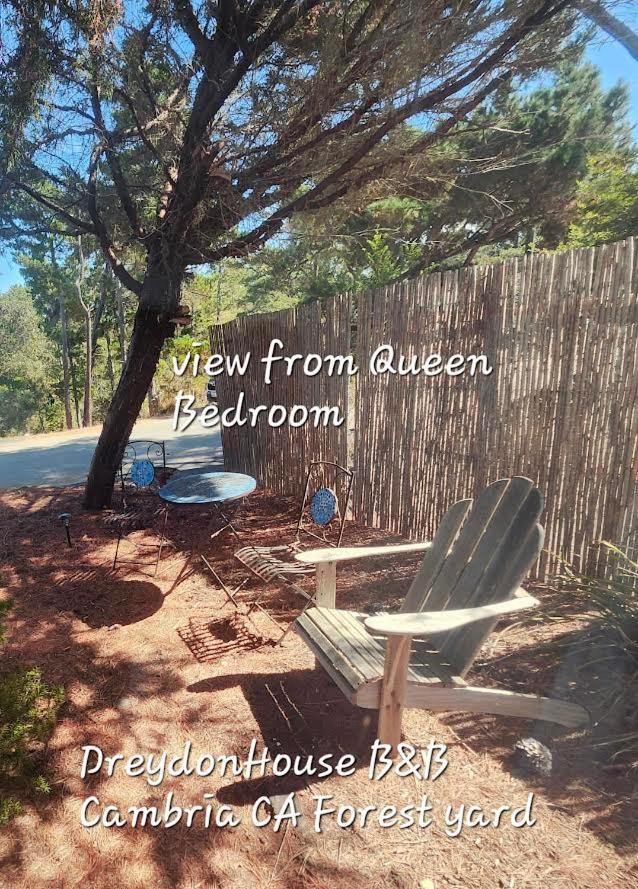 Dreydon House Bed And Breakfast Cambria Luaran gambar
