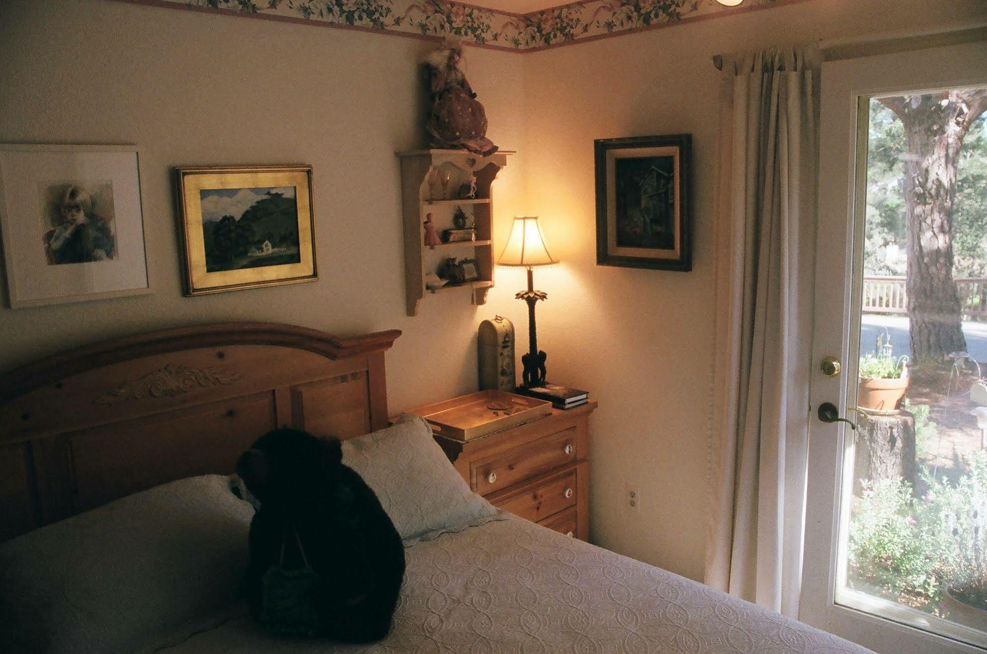 Dreydon House Bed And Breakfast Cambria Luaran gambar