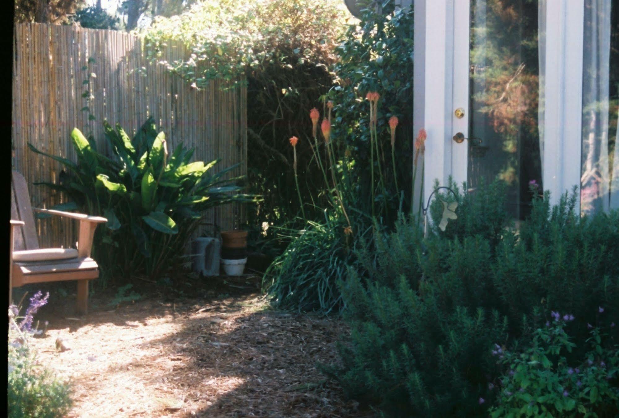Dreydon House Bed And Breakfast Cambria Luaran gambar